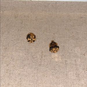 Tory Burch Tortoise Stud Earrings